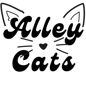 Team Page: Alley Cats